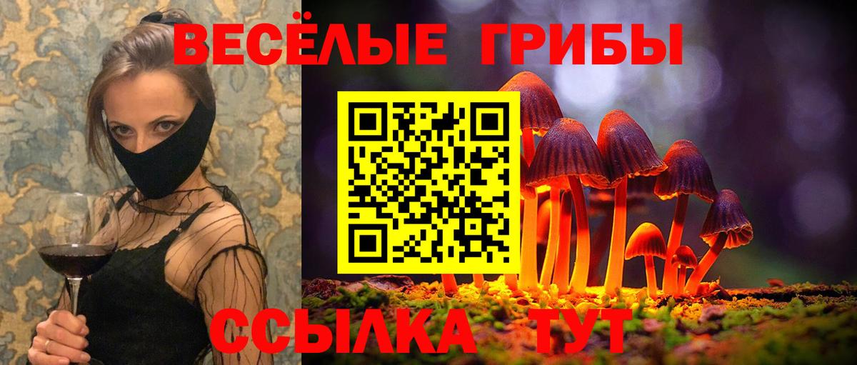 Жуковский  Псилоцибиновые грибы ЛСД  Вход с VPN 
